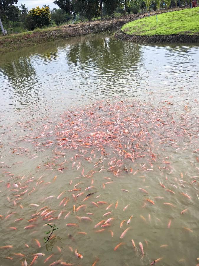 Menam Resort Nakhonpathom Kültér fotó
